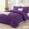 Utterly Comfortable  Queen Comforter Set